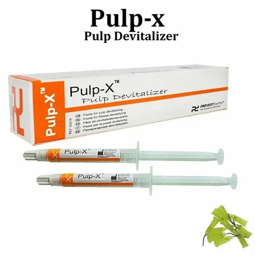 Dental pulp - pulp, x